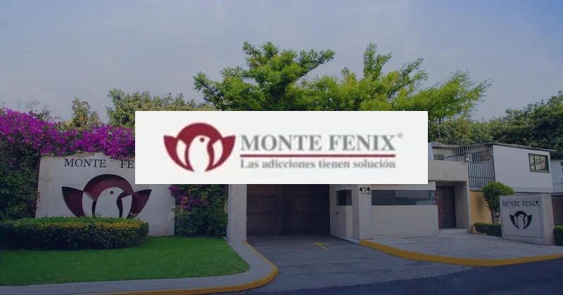Monte Fénix case study